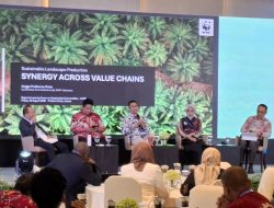 WWF: Pasar Domestik Strategis untuk Mendorong Sawit Berkelanjutan