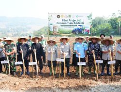 Kemenko Pangan Mulai Proyek Percontohan Kedelai 25 Hektare di Cariu