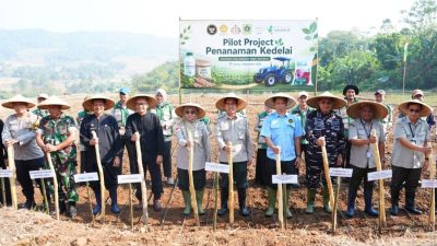 Kemenko Pangan Mulai Proyek Percontohan Kedelai 25 Hektare di Cariu