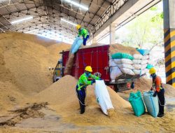 SIG Manfaatkan hingga 400 Ton Sekam Padi per Hari di Pabrik Tuban