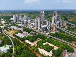 SIG Kaji Buyback Saham di Tengah Dinamika Pasar Modal Domestik