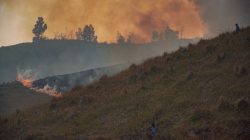 TNBTS Tutup Total Wisata Gunung Bromo untuk Percepat Pemadaman Kebakaran