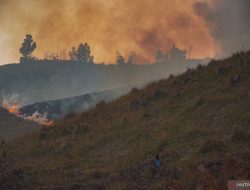 TNBTS Tutup Total Wisata Gunung Bromo untuk Percepat Pemadaman Kebakaran