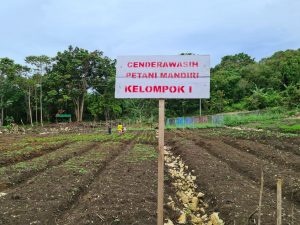 Pemberdayaan Petani Lokal Jadi Kunci Rantai Pangan Berkelanjutan di Papua