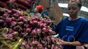 Harga Bawang Merah di area Pusat Kota Solo Melonjak, Eceran Ada yang tersebut Tembus Rupiah 80 Ribu per Kilogram