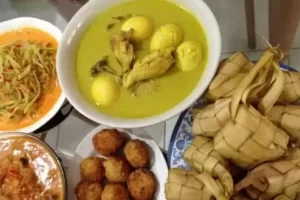 Jangan Telalu Banyak Konsumsi Makanan Khas Lebaran, Obesitas Bisa Mempercepat Penuaan di tempat Otak