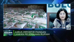 Video: Hadapi Pelemahan Rupiah, Bulog Buka Kans Ekspor