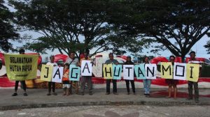 Seruan All Eyes On Papua, Organisasi Sipil Serukan Penghentian Perampasan Tanah Adat