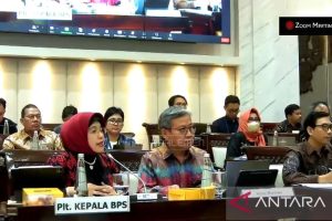 BPS butuh total Rp6 triliun untuk penghargaan Sensus Kondisi Keuangan 2026