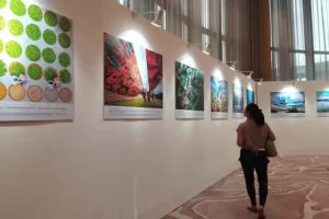 Charming Guangdong 2024 Terwujud Pukau Penonton dengan Warisan Budaya lalu Keindahan Alam