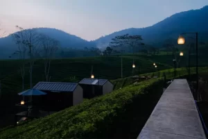 Serunya Staycation di tempat Bobocabin Pangalengan yang mana Superdingin, Menginap Sambil Eksplor Atraksi Wisata Lokal