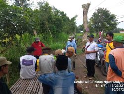 Kelompok Tani Ngudi Mulyo Desa Wonorejo Gelar Gerakan Pengendalian Wereng Batang Coklat, Dukung Keamanan Produksi Pangan