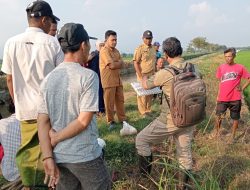 Gerakan Pengendalian Hama Tikus: Bukti Kekompakan Petani Rowogebang