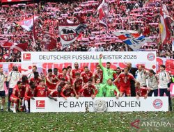 Bayern Muenchen Minim Belanja, Dortmund dan Leipzig Aktif di Bursa Transfer Liga Jerman