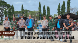 Tanggap Bencana Gempa Bumi Flores NTT, BRI Peduli Gerak Cepat Bantu Warga Terdampak