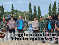 Tanggap Bencana Gempa Bumi Flores NTT, BRI Peduli Gerak Cepat Bantu Warga Terdampak