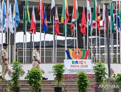 Ekonom: Kerja Sama BRICS Tak Bertentangan dengan Aksesi Indonesia ke OECD