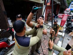 Langgar Perda, Pemkot Surabaya Tertibkan Utilitas Kabel FO dan Tiang Provider di Kawasan Jalan Adityawarman