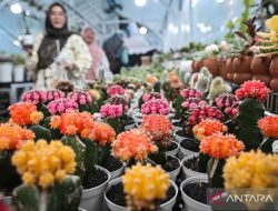 Empat Pameran di Jakarta untuk Mengisi Akhir Pekan hingga Akhir 2026
