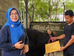 Semangat Berbagi, SMPN 46 Surabaya Sukses Gelar Penyembelihan Hewan Kurban