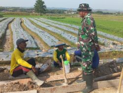 Satgas TMMD Kodim Pati Jalin Kedekatan Dengan Petani di Lokasi Persawahan