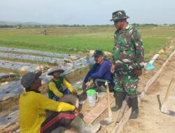 Komsos di Tengah Pengecoran, Serka Iskandar Dengarkan Harapan Petani Desa Godo
