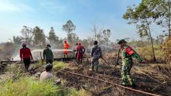 Kemenhut Pastikan Kebakaran di TN Way Kambas Padam, Gajah Aman