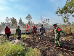 Kemenhut Pastikan Kebakaran di TN Way Kambas Padam, Gajah Aman