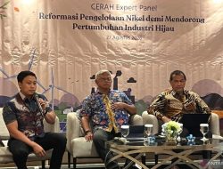 DEN: Royalti Rendah di Smelter Didorong untuk Pacu Investasi Hilirisasi Nikel