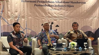 DEN: Royalti Rendah di Smelter Didorong untuk Pacu Investasi Hilirisasi Nikel