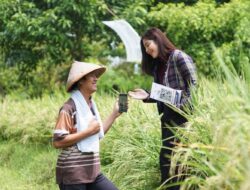 KUR BRI Dorong Kenaikan Omzet UMKM hingga Double Digit, Hal ini Buktinya!