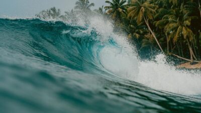 2.000 Tewas Dihantam Tsunami 100 Unit dalam Ambon, BMKG Ingatkan Ini adalah