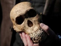 Fakta Individu Kawin Campur dengan Spesies Lain, Terungkap Lokasinya